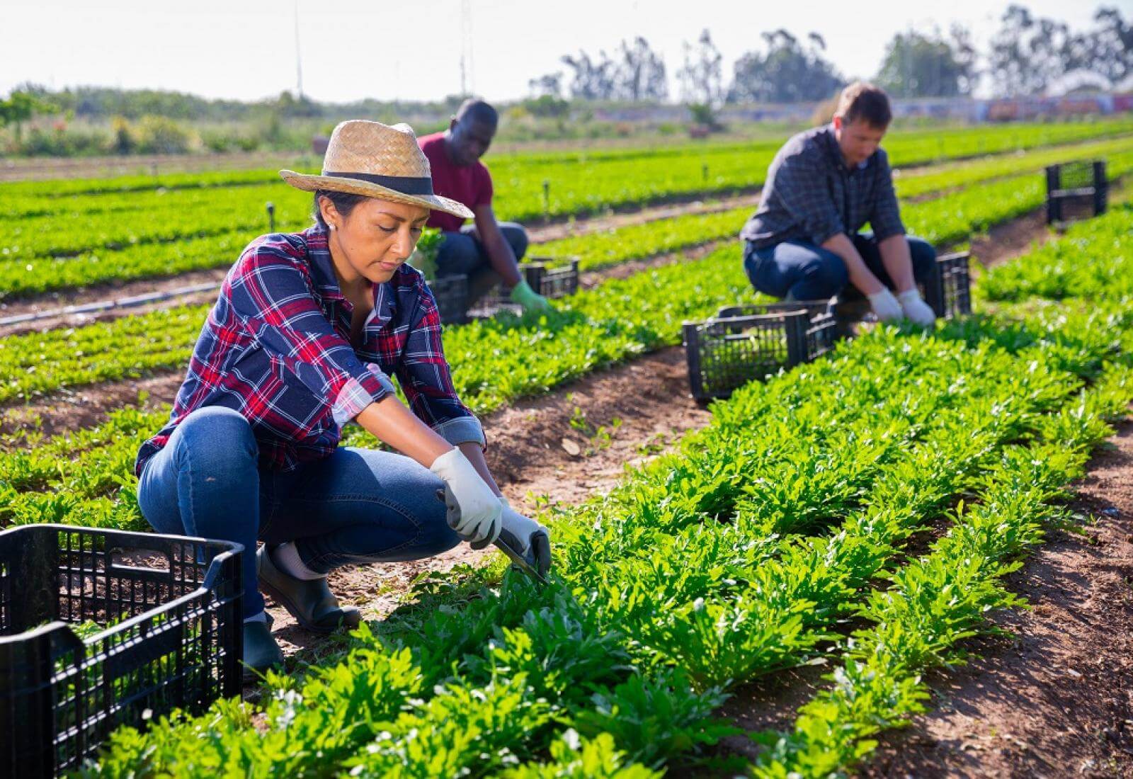 Pacto por el trabajo